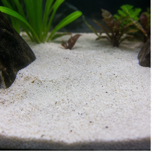 Aquariumbodem clair dans un aquarium