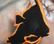 Platax pinnatus Rode chauve-sourris